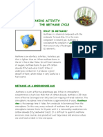 Student Sheet 1 Critical Thinking Activity: The Methane Cycle