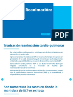 RCP y DEA.pdf