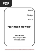 Jaringan Hewan ppt Jaringan Hewan ppt