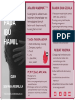 Anemia Ibu Hamil