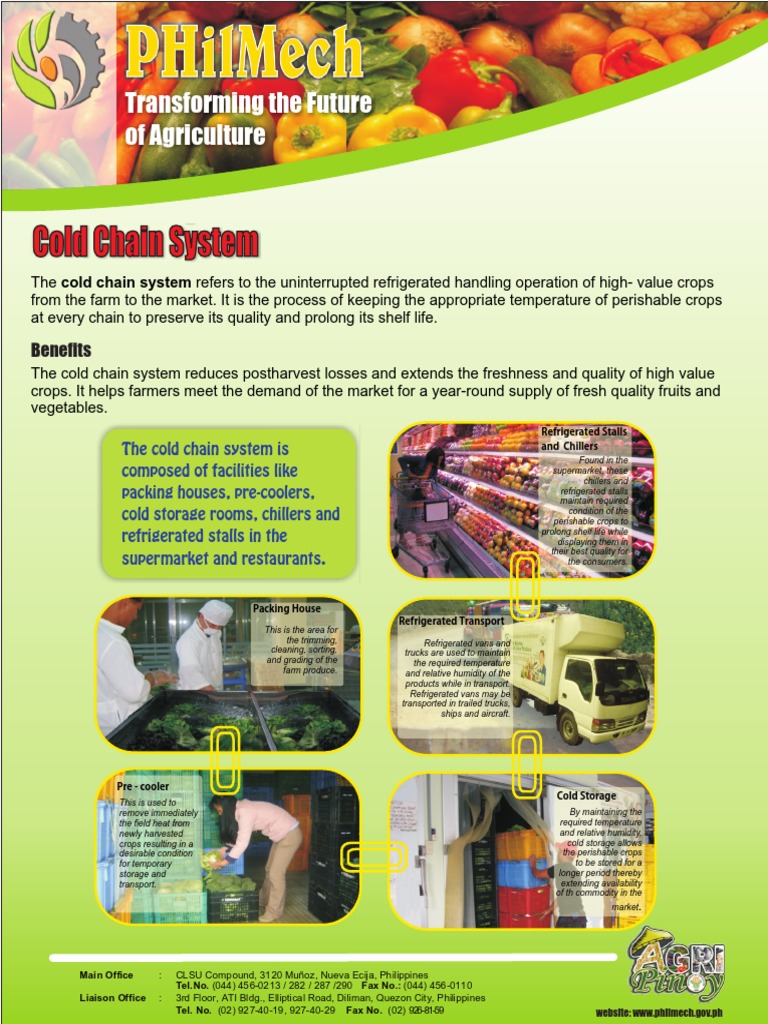 Cold Chain System | PDF | Refrigeration | Postharvest