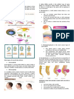 Neuraltube Defects