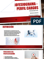 Profesiograma - Perfil Cargos 2