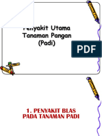 1564 Pertemuan 4 Penyakit Utama Tan Pangan Dan Horti Edited