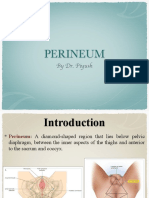 Perineum 180922120553 PDF