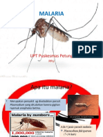 Malaria Gejala Pencegahan