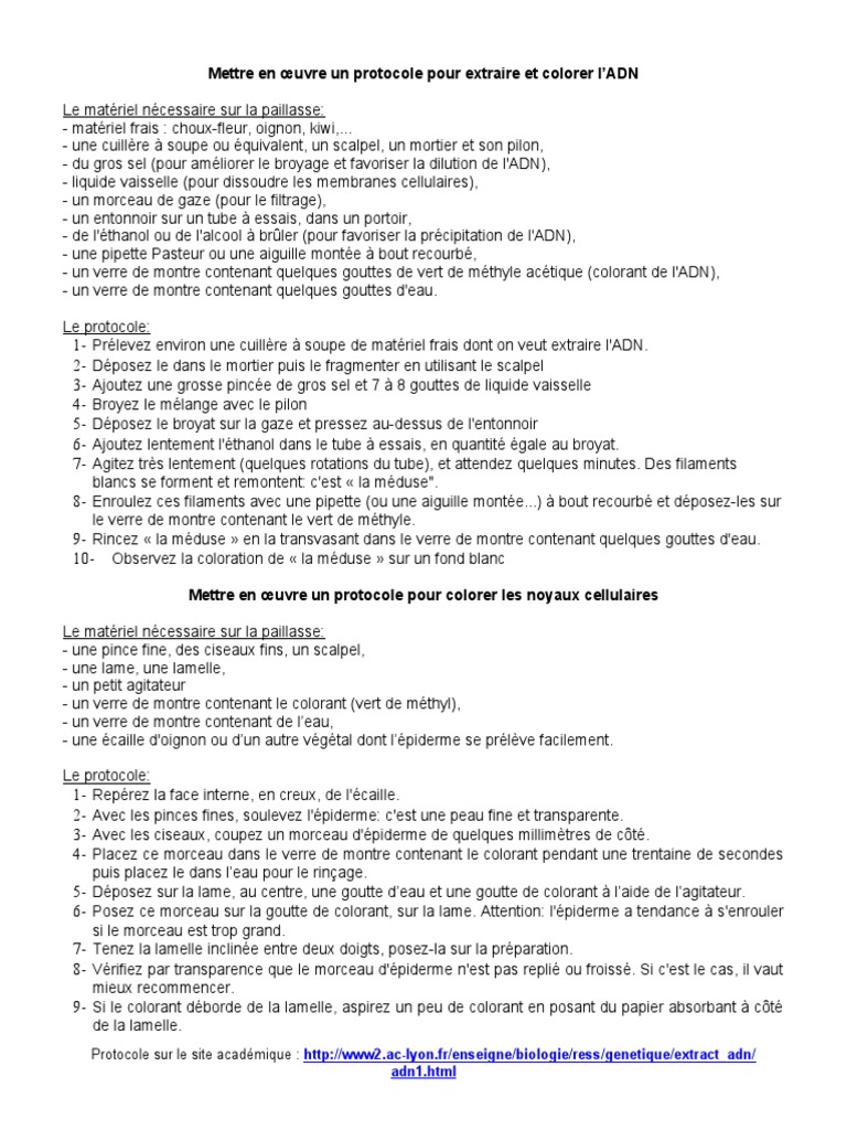 Extraire et colorer l'ADN facilement | PDF