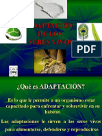 vdocuments.net_adaptaciones-seres-vivos.ppt