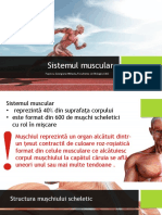 Sistemul muscular - Popescu Georgiana - Mihaela.pptx
