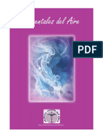 Manual Elementales Del Aire - Shakwic