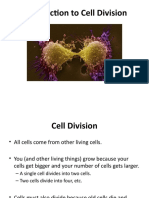 Cell Division Mitosis Meiosis PPT