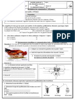 Devoir N1 SVT 2AC Semestre 2 Modele 13 PDF