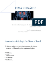 Sistema Renal 40