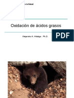 14 - Oxidacion de Acidos Grasos