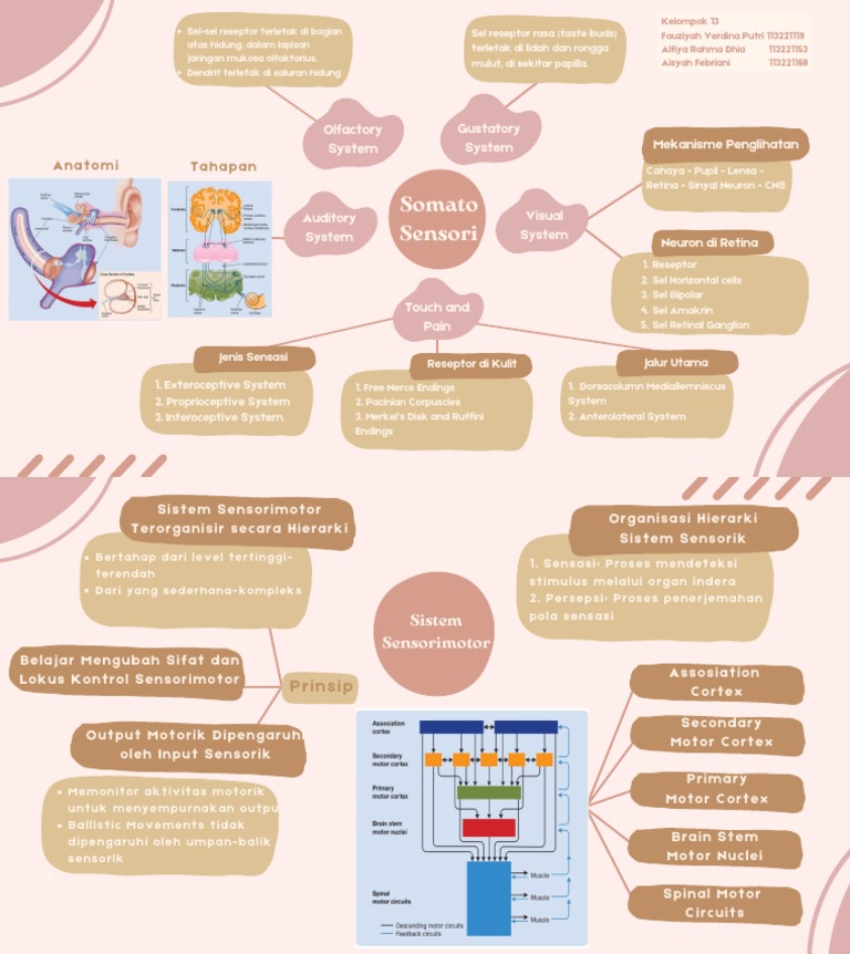 Sistem Sensorik dan Motorik Terintegrasi | PDF