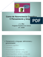 V Pensamiento PDF