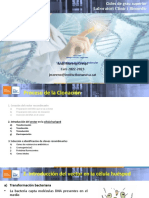 Técnicas de biología molecular y clonación