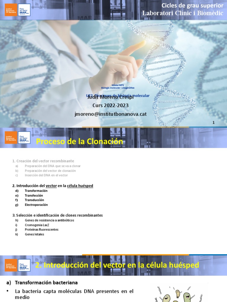 Pasos en la Clonación de ADN Recombinante | PDF | Biología Molecular ...