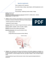 Aparato respiratorio: anatomía, fisiología y patología