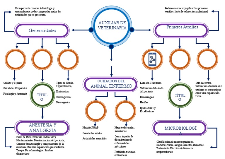 Mapa Conceptual 1 | PDF | Cuidado de la salud | Enfermedades y trastornos