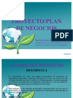 DEXTRIYUCA_PROYECTO_-_PLAN_DE_NEGOCIOS[1]