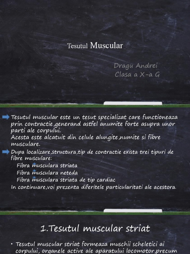 Tesutul Muscular | PDF