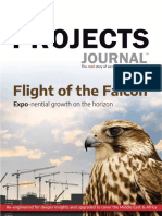Flight of The Falcon PDF