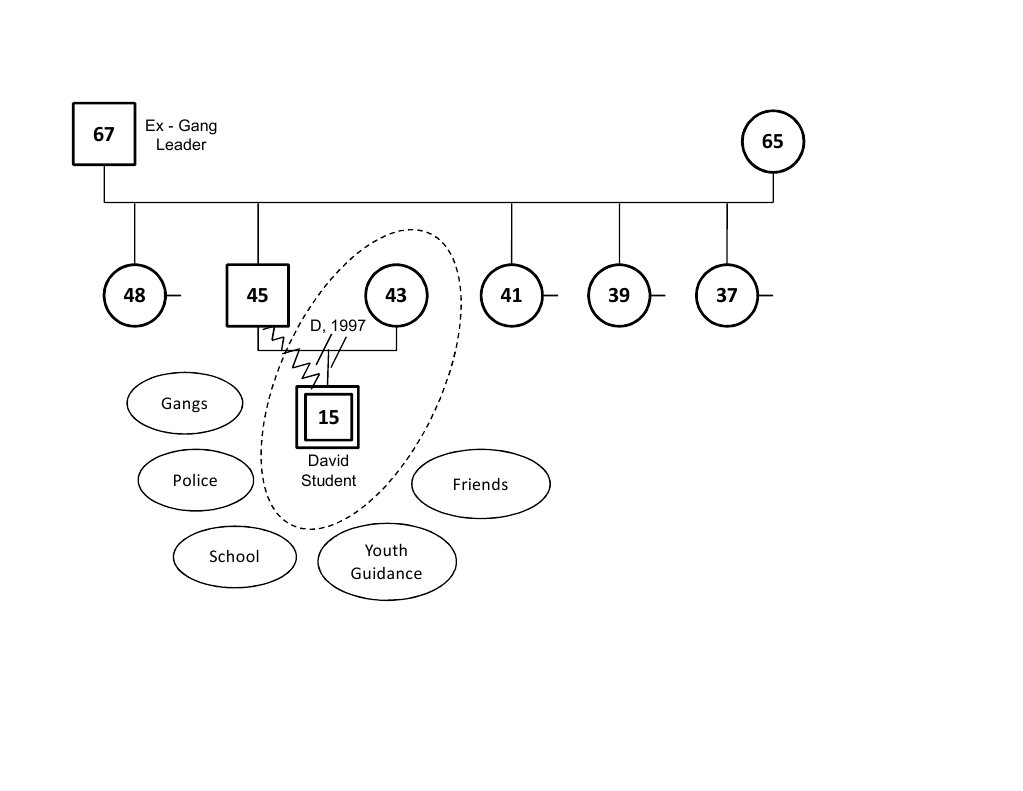 Genogram | PDF