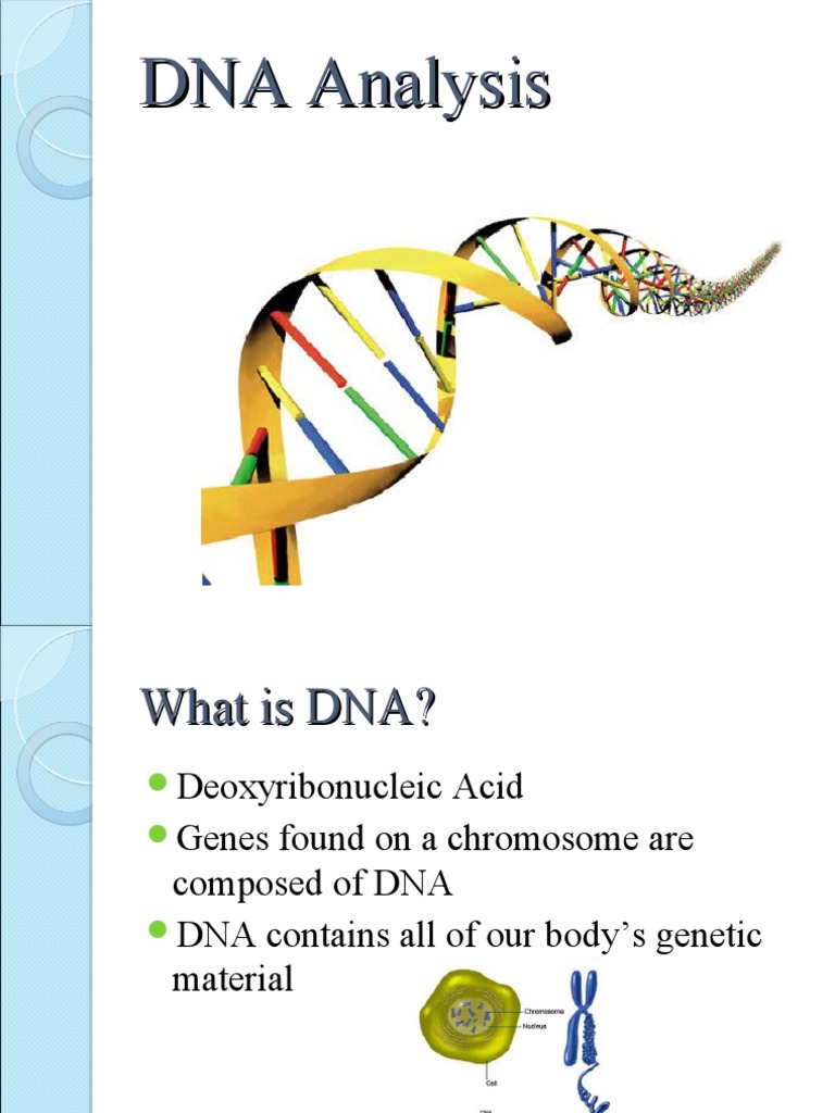DNA Analysis PDF Dna Macromolecules