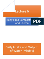Lecture 6: Fluid Compartments and Edema