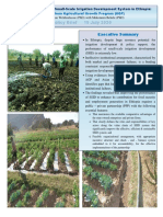 Institutional REFORM in Small-Scale Irrigation Development System in Ethiopia