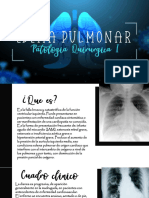 E Pulmonar 1