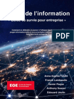 La Guerre de L'information PDF