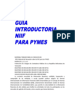 Guia Introductoria Niif para Pymes