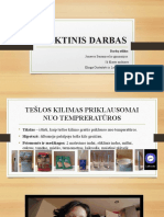 Projektinis Darbas