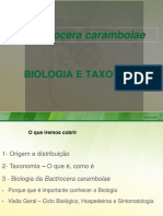 Biologia e Taxonomia Da Bactrocera Carambolae