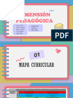 Diemnsion Pedagogica PP PDF