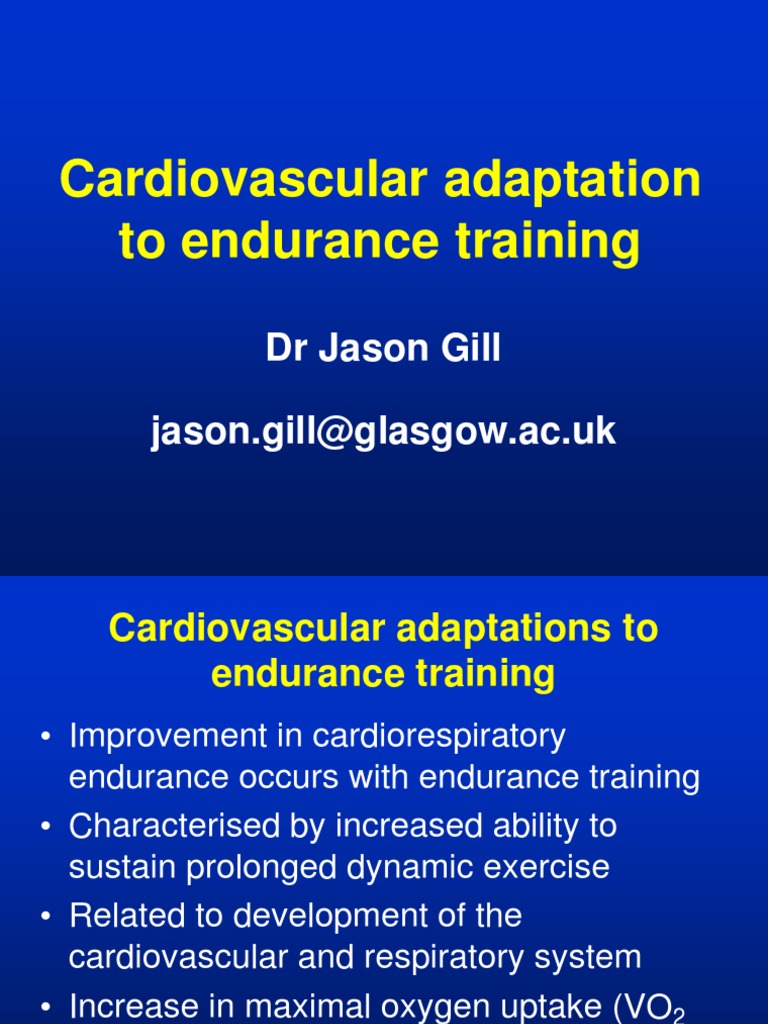 Cardiovascular Adaptation To Endurance Training PDF PDF Blood