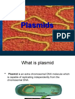 Plasmid DNA Structure and Functions