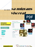 Patogenia y Diagnostico PDF