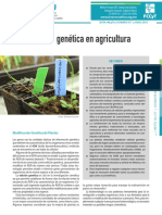 Edición Genética en Agricultura