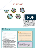 3.3._MEIOSIS_alicia.pptx