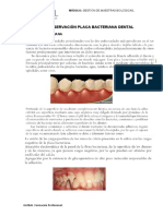 Práctica observacion bacterias del sarro