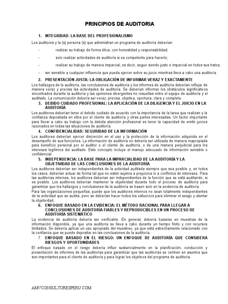 1 T Principios De Auditoria Pdf Auditoría