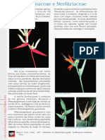 PFRD 1999 Heliconiaceae PDF