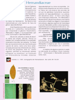 PFRD 1999 Hernandiaceae PDF