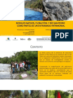 Seminario Paleo Mafil - PPT Vergara-Contreras PDF