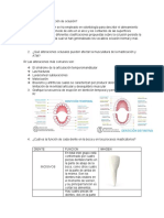 Taller Oclusion 2