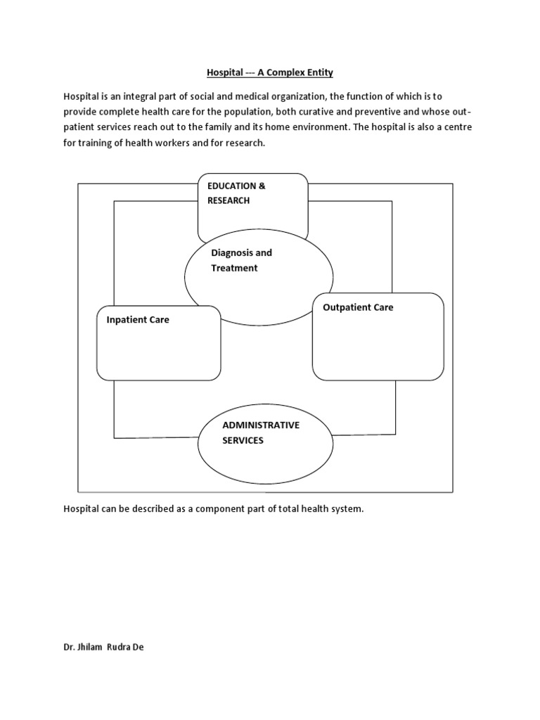 Understanding Hospital Complex Systems | PDF | Hospital | Patient