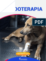 FLUDOTERAPIA